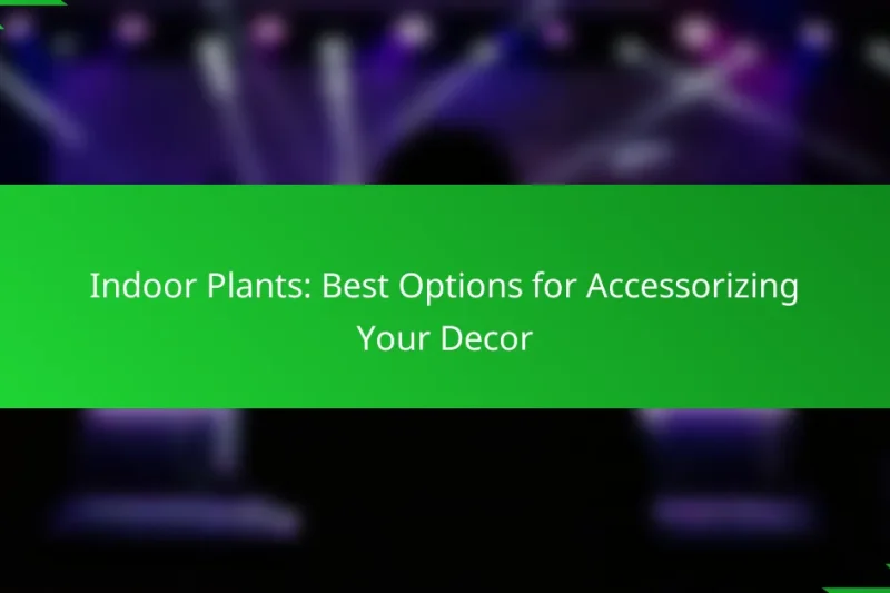 Indoor Plants: Best Options for Accessorizing Your Decor