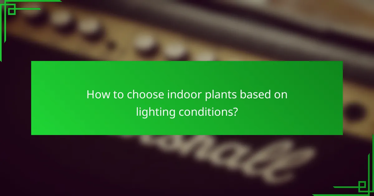 How to choose indoor plants based on lighting conditions?