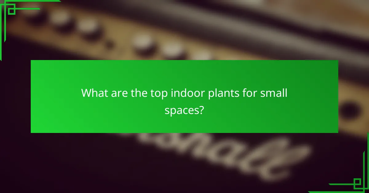 What are the top indoor plants for small spaces?